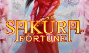 Слот Sakura Fortune в Mad Casino: 